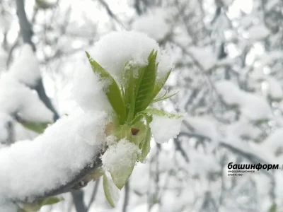 Башҡортостанда яҙҙың тәүге көндәренә һауа торошо билдәле булды