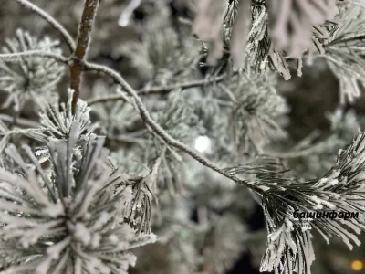 Республика райондарының береһендә һауа температураһы  -40° тиклем түбәнәйҙе