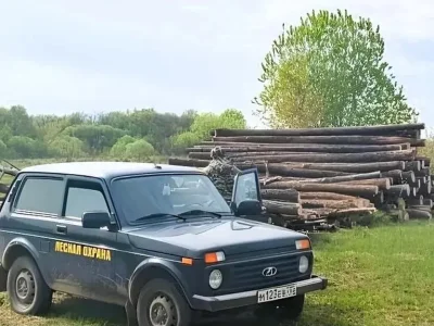 Башҡортостанда урмансылар рөхсәтһеҙ ағас ҡырҡыуға ҡаршы рейдтарға сыға