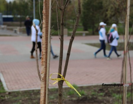 Башҡортостан Башлығы «Хәтер баҡсаһы» акцияһын үткәреү тураһында белдерҙе