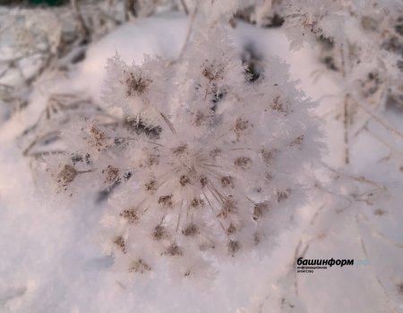 Бөгөн республикала урыны менән -39 градус һыуыҡ булған