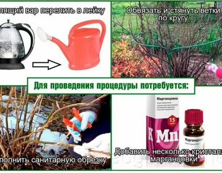 Ҡыуаҡтарҙы эҫе һыу менән эшкәртеү мәле етә