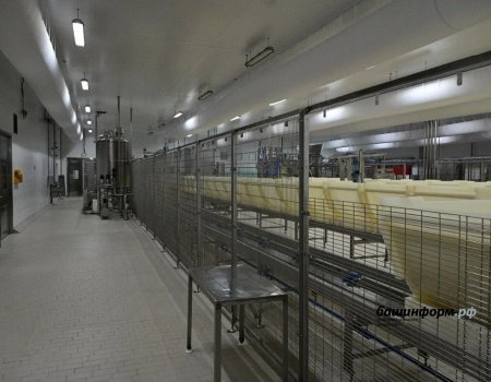 Башҡортостанда йомшаҡ сырҙар етештереү цехы асылды
