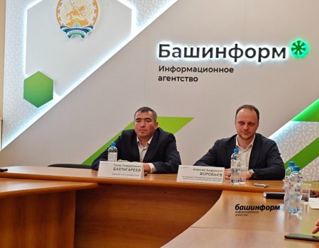 Республикала баҡыр сығарыу тураһында ҡарар геология-разведка эштәренән һуң ҡабул ителә