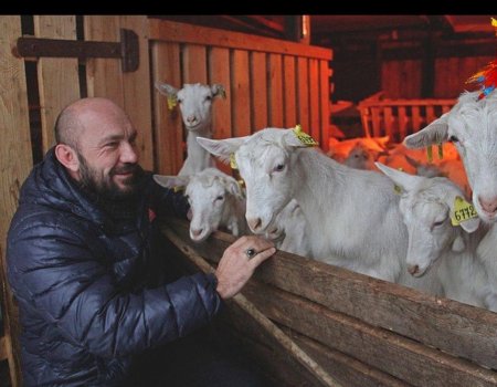 Башҡортостан фермеры етештергән сыр халыҡ-ара күргәҙмәлә алтын миҙалға лайыҡ булды