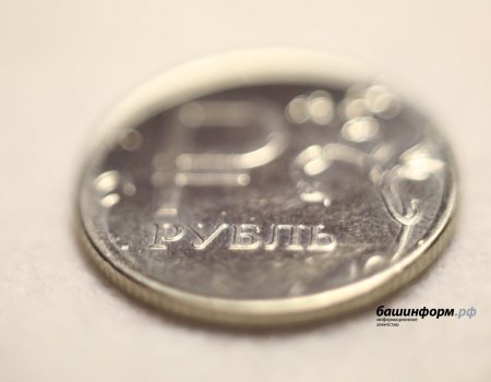 Башҡортостанда опекундарға түләүҙәр 16,6% арта