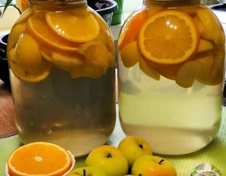 Бындай компотты эскәнегеҙ юҡтыр әле!