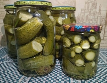 Ҡыярҙары кетерләп тора