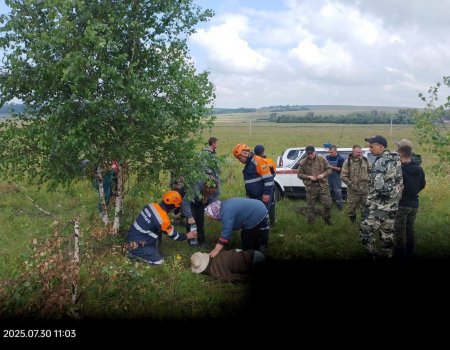 Башҡортостанда урманда бер ирҙе үгеҙ һөҙгән