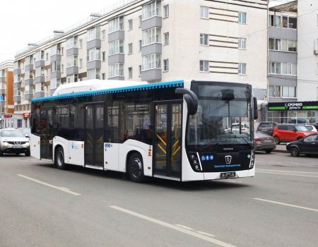 Башҡортостанда МХО яугирҙәренең балаларына транспортта бушлай йөрөү ҡағиҙәләре билдәләнде