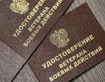 Хөкүмәттә кемдәрҙең хәрби хәрәкәттәр ветераны статусын алырға хоҡуғы булыуын билдәләнеләр