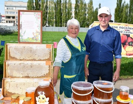 Республикала умартасылар ғаиләһе яугирҙәргә 50 килограмдан ашыу бал тапшырған