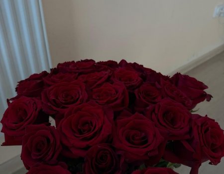 Бүләк ителгән раузаларҙы тамырландырам тиһәң...