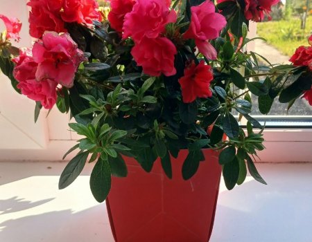 Ярманы йыуған һыуҙы әрәм итмәгеҙ