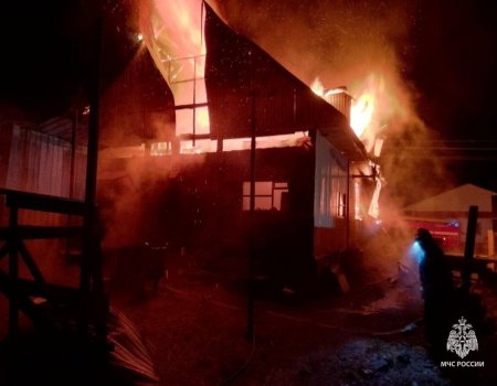 Ҡыйғыла үҫмер үҙенең ғаиләһен янғындан ҡотҡарған