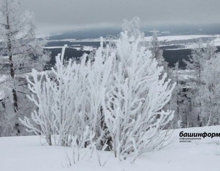 Киләһе ҡыш былтырғыһынан һалҡыныраҡ булыуы ихтимал
