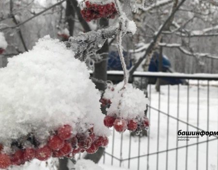 Республикала йәшәүселәрҙе боҙло ямғыр хаҡында иҫкәрттеләр