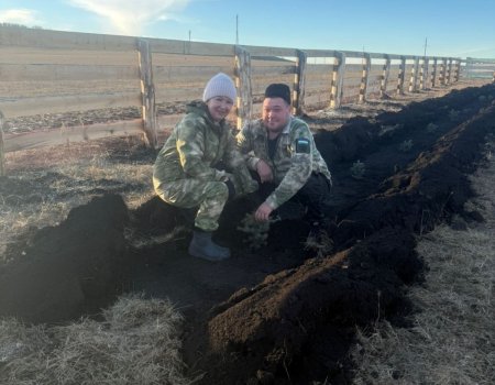 Республикабыҙ ауылында МХО-ла ҡатнашыусылар аллеяһы барлыҡҡа килде