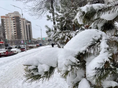 Републикала һауа температураһының күтәрелеүе фаразлана