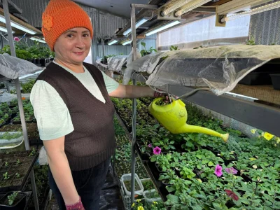 Помидор, борос, баклажандың ниндәй сорттарын сәсеү яҡшы?