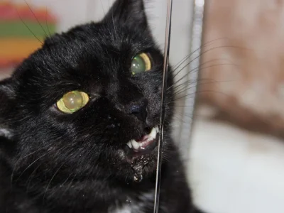 Республикала торлаҡ-коммуналь хеҙмәттәргә хаҡтар үҙгәрә