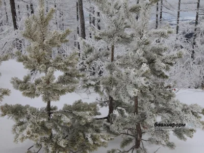 Республикала -33 градусҡаса һыуыта