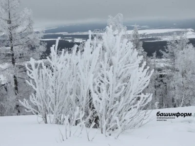 Өфөнән биш турист Урал тауҙарында юғалған