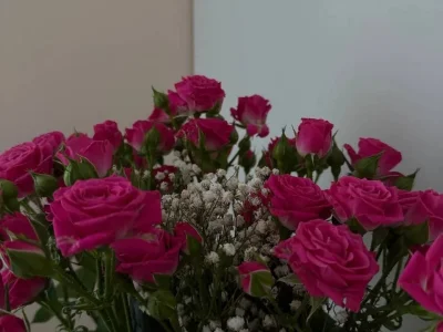 Бүләк сәскәләрҙе ташламағыҙ: розаны картуфта тамырландырабыҙ