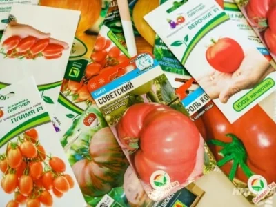 Ялған орлоҡтар алып ҡуймағыҙ!