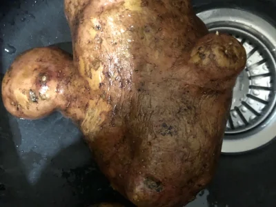 Бәрәңгенән нисек мул уңыш алырға?