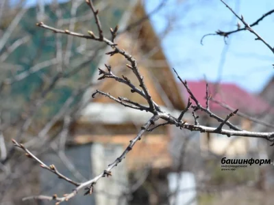 Башҡортостанда -6 градусҡаса һалҡынайта