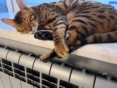 Өфөлә йылытыу миҙгеле тамамлана