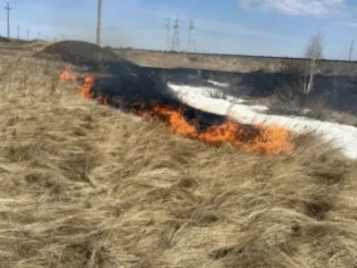 Төйәләҫ ауылында ландшафт янғыны һүндерелгән