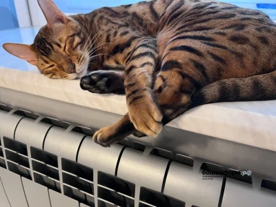 Өфөлә фатирҙарға йылы биреү туҡтатылмай