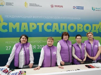 Дачаларҙы тергеҙеү: Башҡортостан властары республика баҡсасыларына нисек ярҙам итә