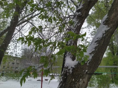 Башҡортостанда ҡар яуыуы һәм боҙлауыҡ булыуы көтөлә