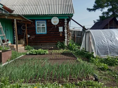 Сәселгән баҡсаны, айырыуса картуфты нисек ҡотҡарырға?