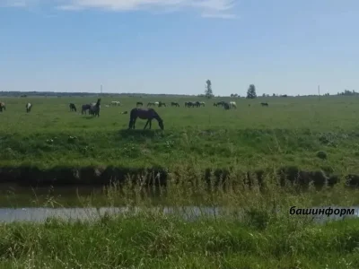 Аҙна башында республикала эҫе була