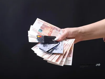 Башҡортостанда торлаҡтың хаҡы билдәле булды