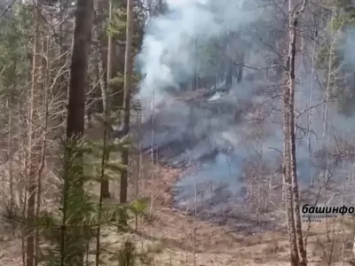 Башҡортостандың көнбайыш райондарында ғәҙәттән тыш янғын хәүефе фаразлана