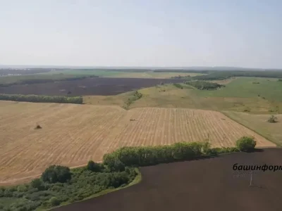 Республикала ужым культураларын сәсеү буйынса план үтәлгән тиерлек