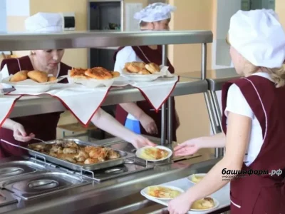 Республикабыҙҙан мәктәп ашнаҡсыһы Бөтә Рәсәй конкурсында 2-се урын яуланы